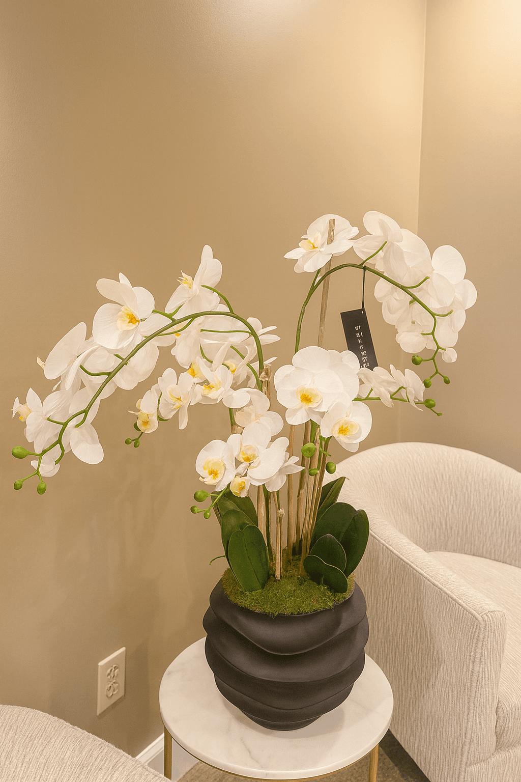 Natural wellness products